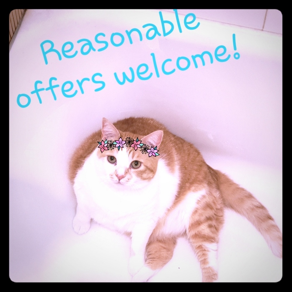 Make me an offer! Feed a Kiwi!